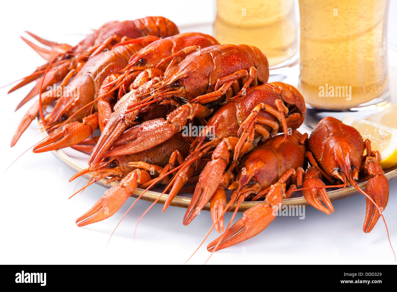 Red lobsters with beer on white background Stock Photo