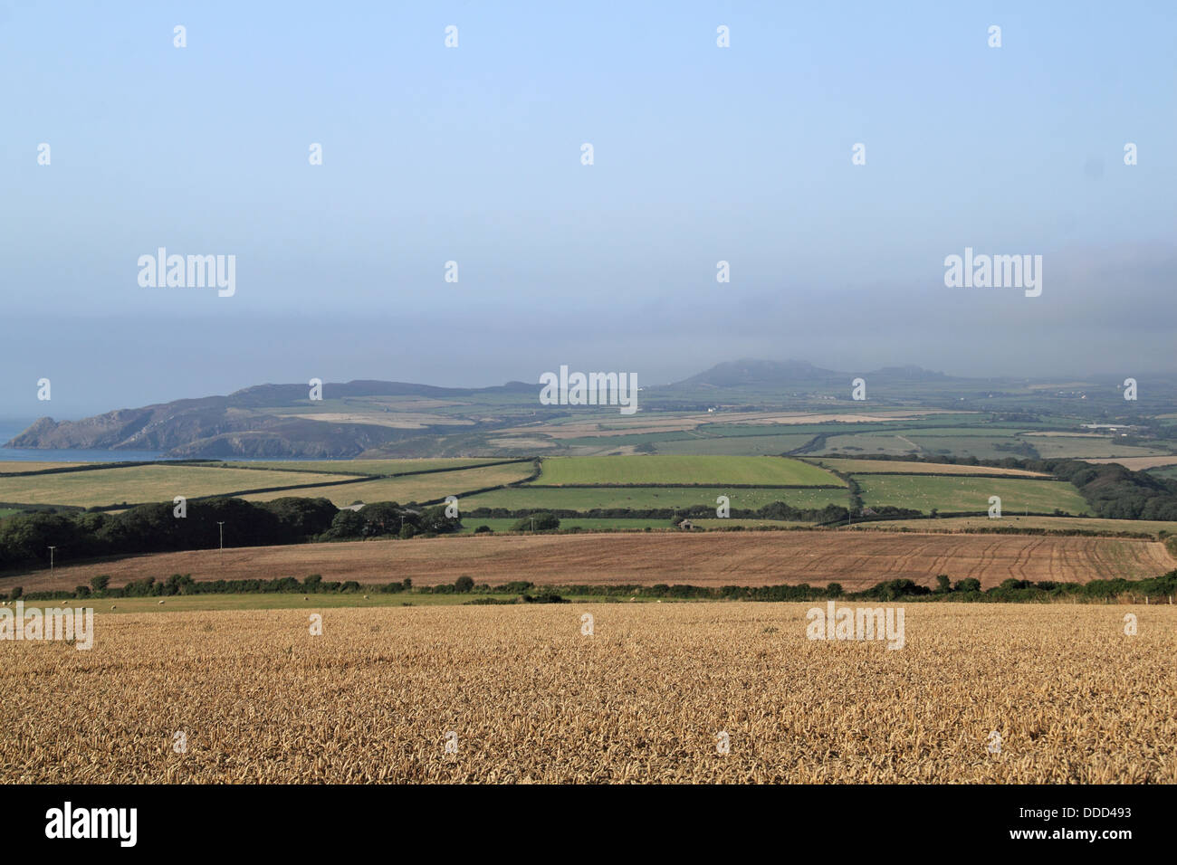 The Pen Caer peninsula from Mathry, Pembrokeshire, Wales, Great Britain