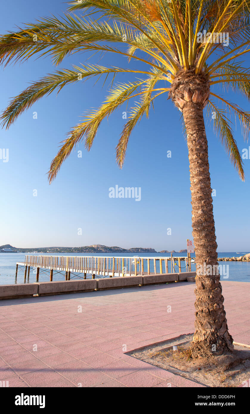 Sunrise on the Beach in Paguera, Majorca (Balearic Islands Spain Stock Photo Alamy Sunrise on the Beach in Paguera, Majorca (Balearic Islands Spain Stock Photo Alamy