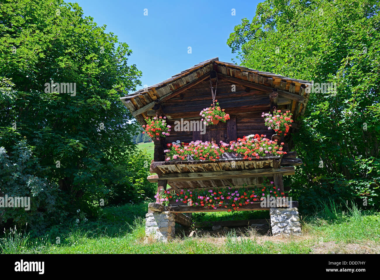 Hut in Gimmelwald, Switzerland, Europe Stock Photo