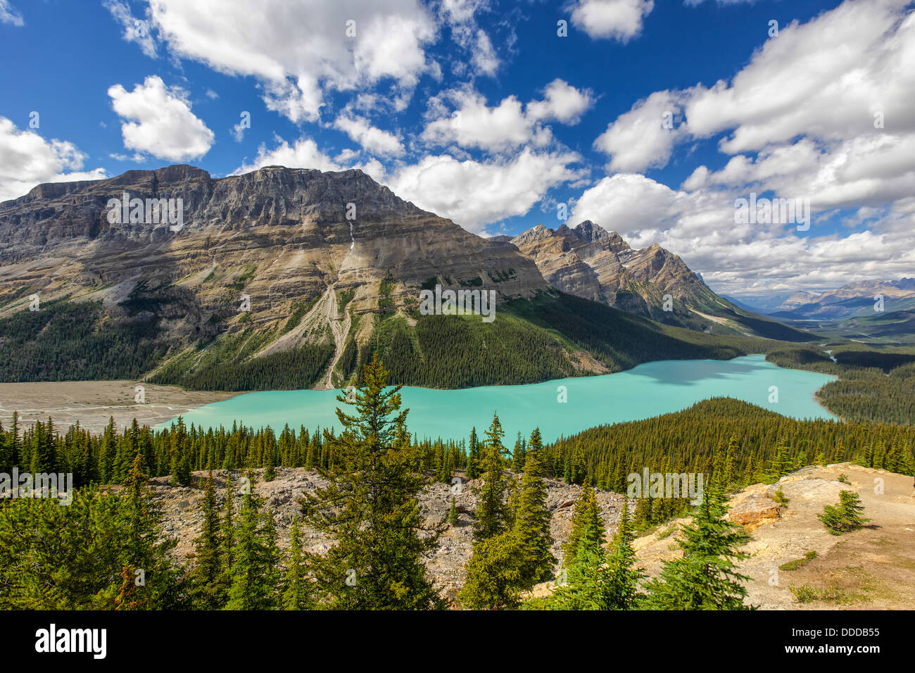 View of the spectacular Peyto Lake in Banff National Park, Alberta ...