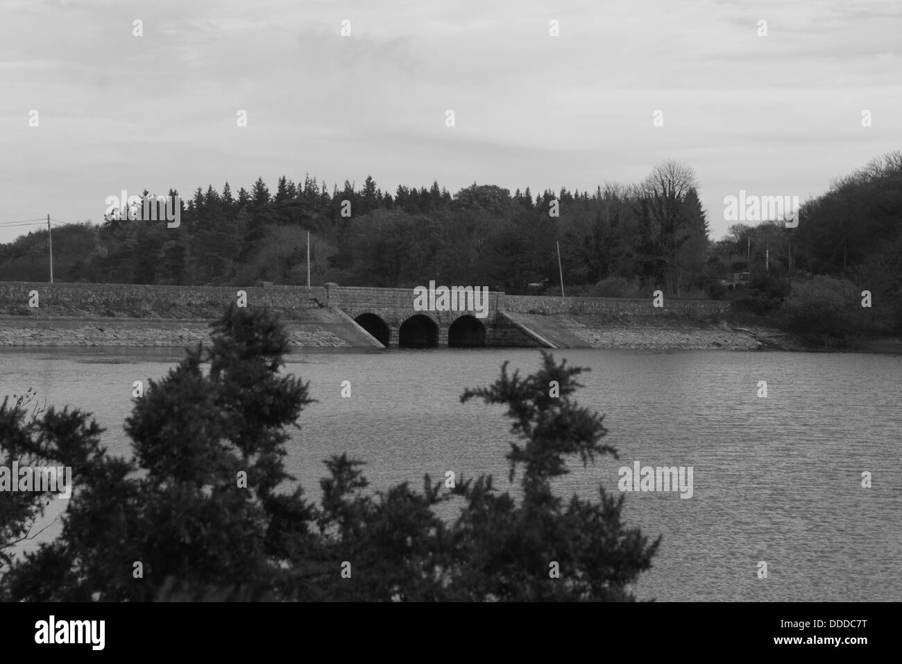 Vartry Reservoir, Wicklow, Ireland Stock Photo
