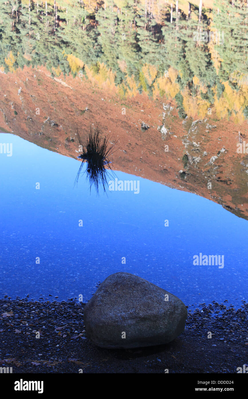 Rock, Lake, Reflection, Mountain, Trees, Weed Stock Photo