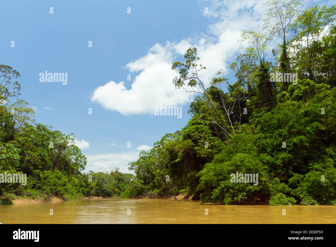 Amazonian river, the Rio Cononaco in Ecuador Stock Photo