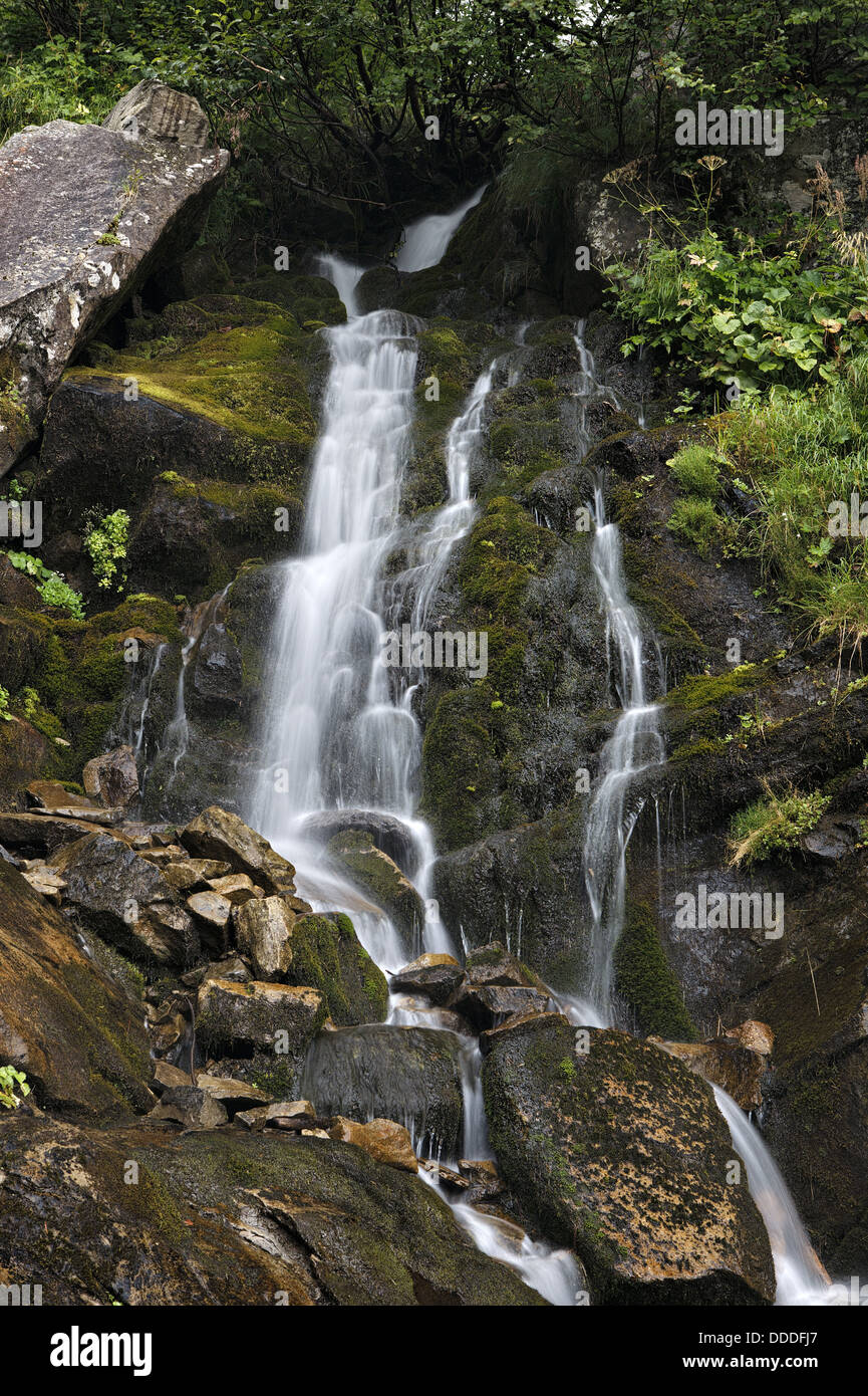 Cascading waterfall of a mountain stream in the Carpathians 4709528 Stock  Photo at Vecteezy