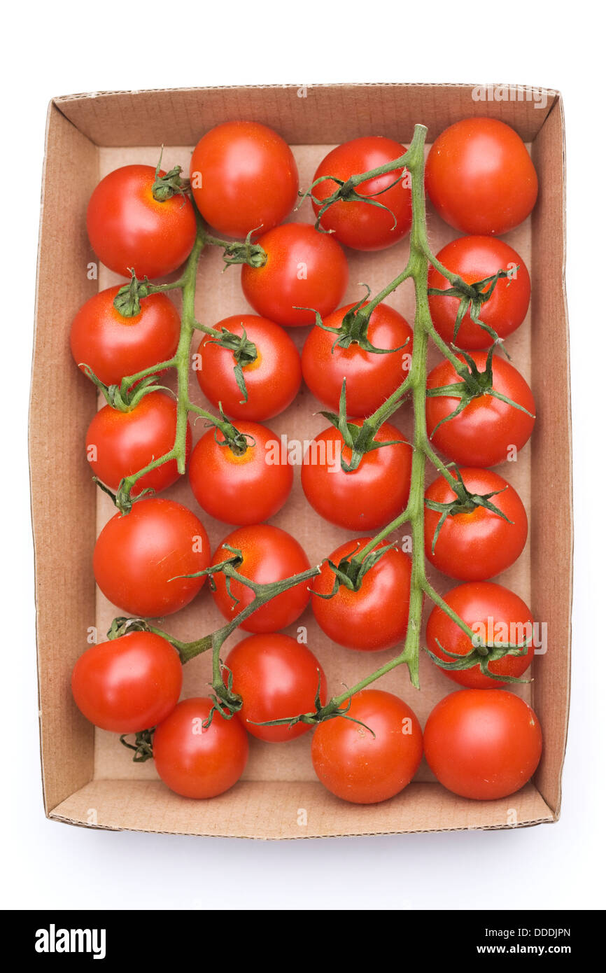 Lycopersicon esculentum. Small cherry tomatoes in a card tray. Stock Photo