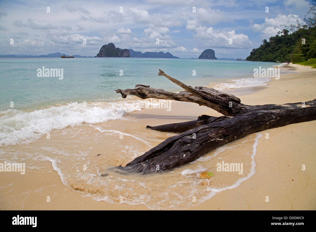 Tropical Beach in Thailand Island Stock Photo