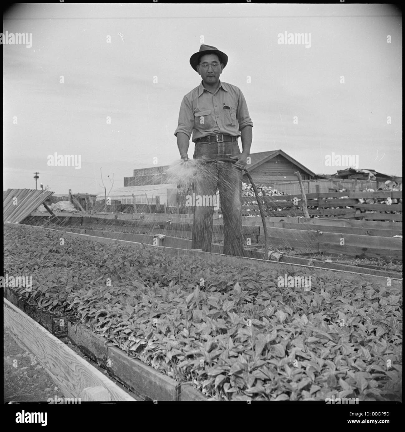 Gila River Relocation Center, Rivers, Arizona. Kelly Ishimoto, former