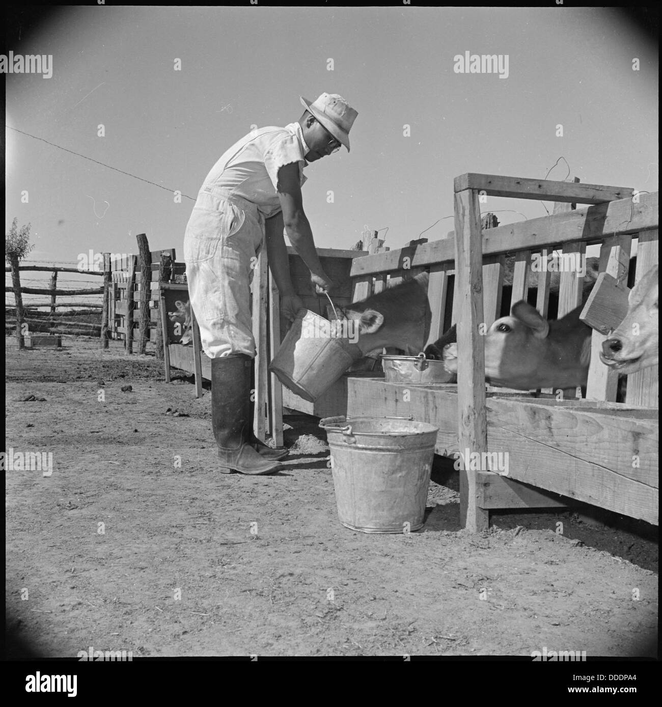 Gila River Relocation Center, Rivers, Arizona. Y.T. Sakoda, former