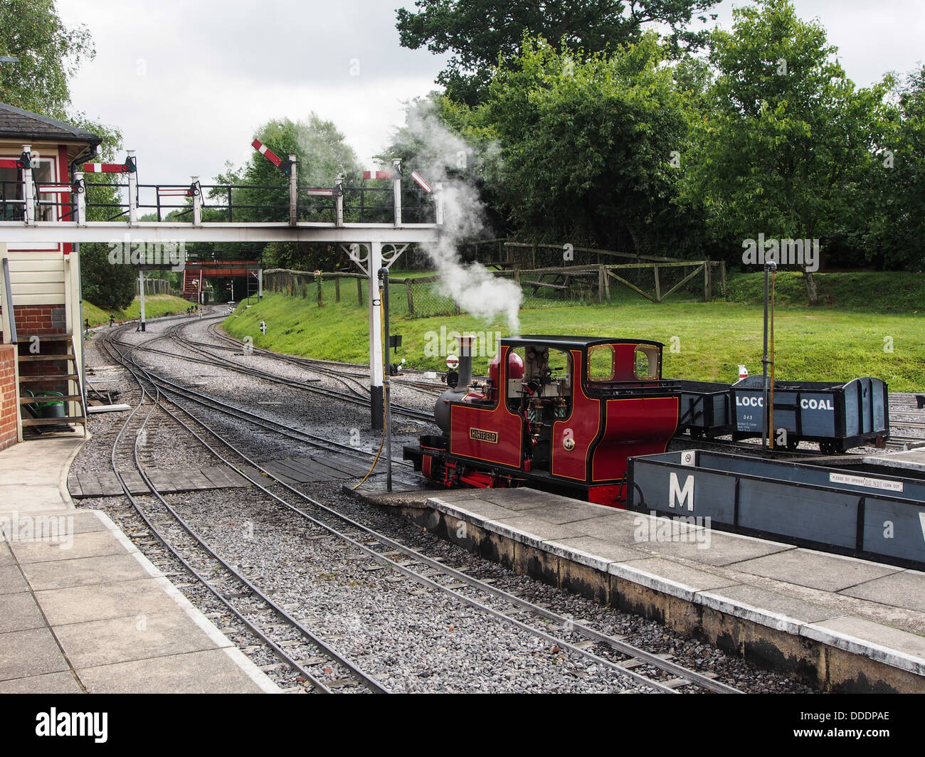 The Miniature steam railway at Moors Valley country park in the New Forest, England Stock Photo
