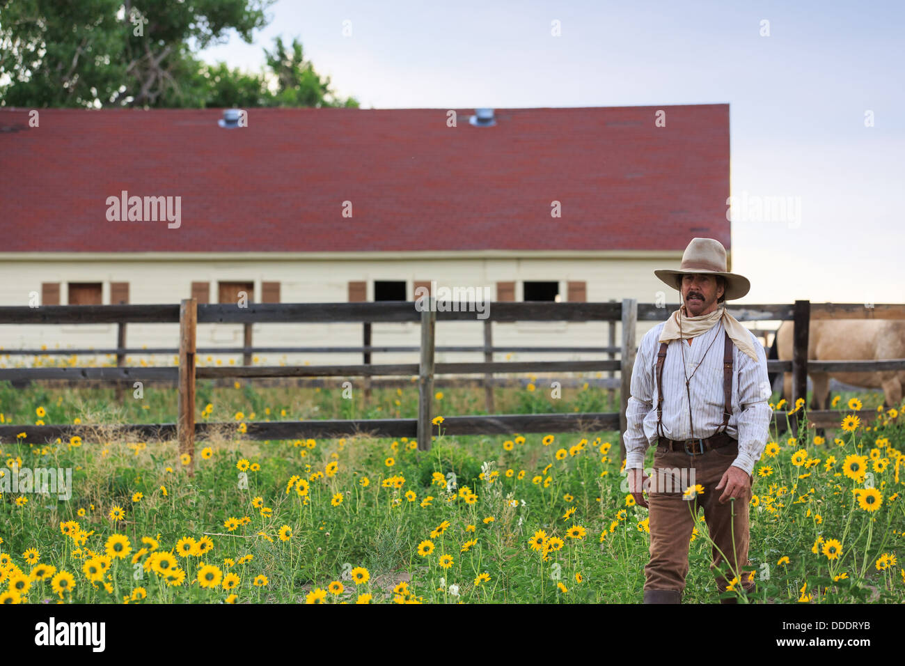 A cowboy walking away from his barn and corral Stock Photo