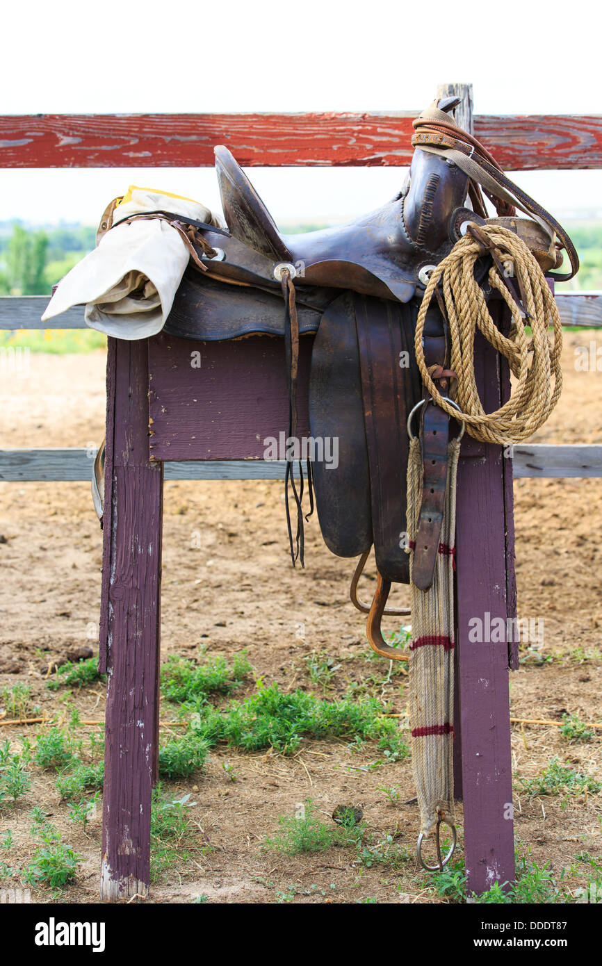 A saddle on display Stock Photo Alamy
