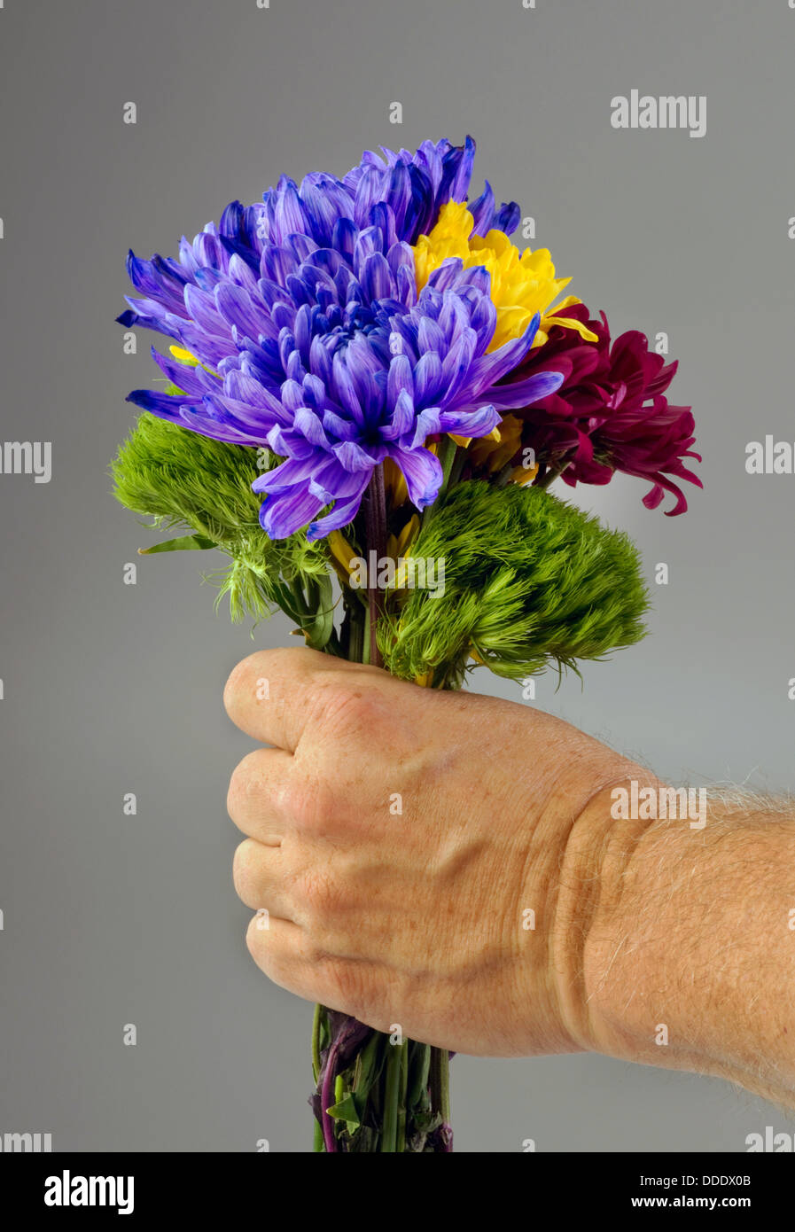 Flowers for you Stock Photo Alamy