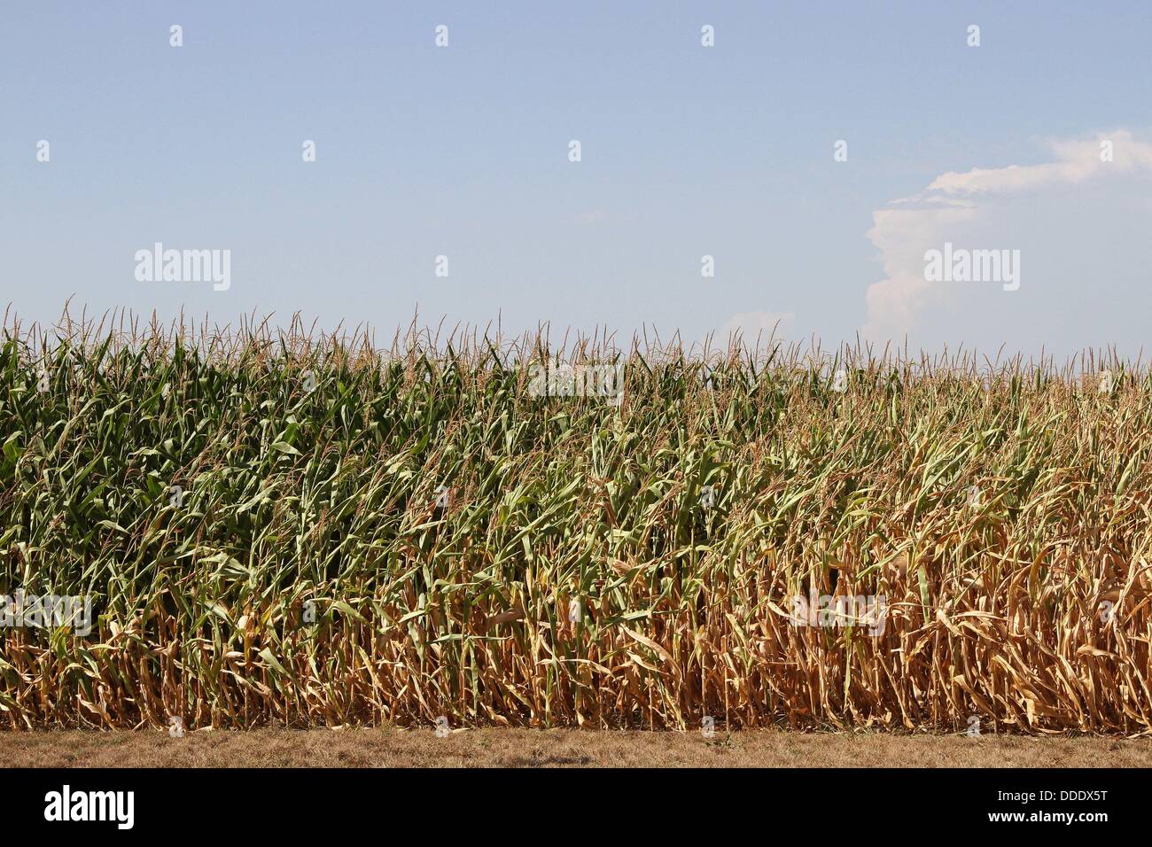 083013 heat 03 hires stock photography and images Alamy