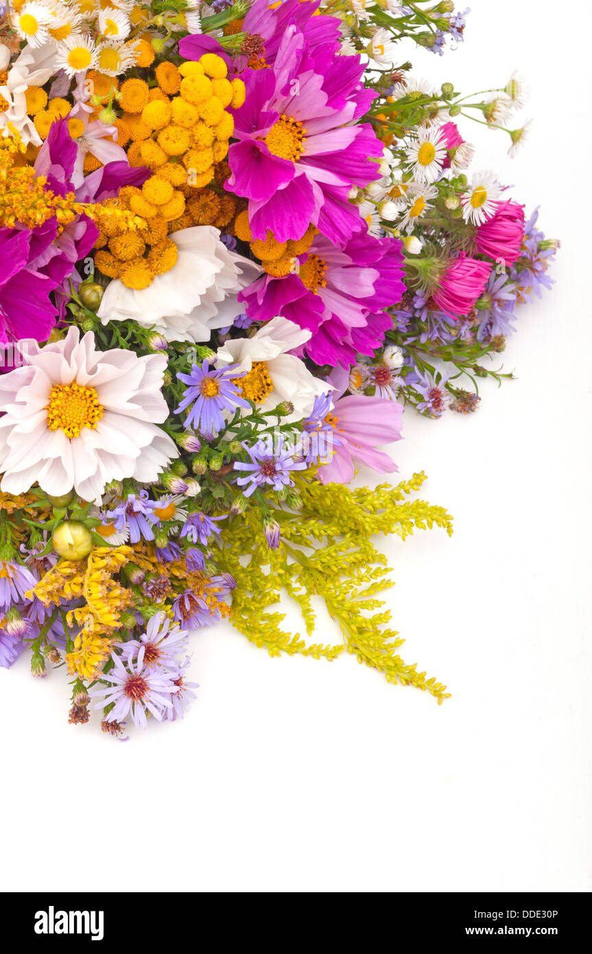 Bouquet of Wild Summer Flowers on White Background Stock Photo - Alamy