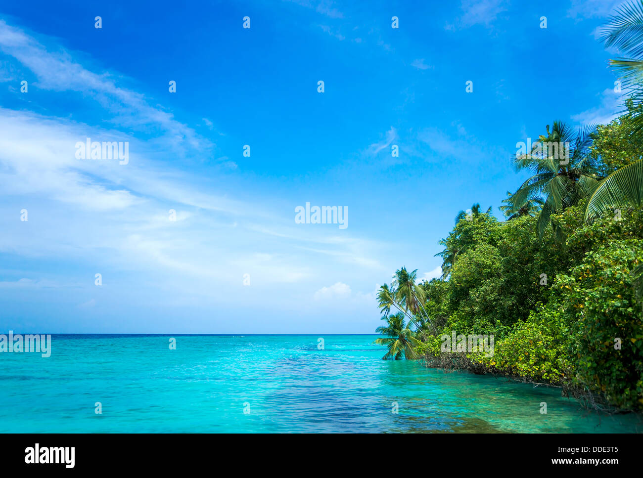Tropical island in the ocean Stock Photo - Alamy