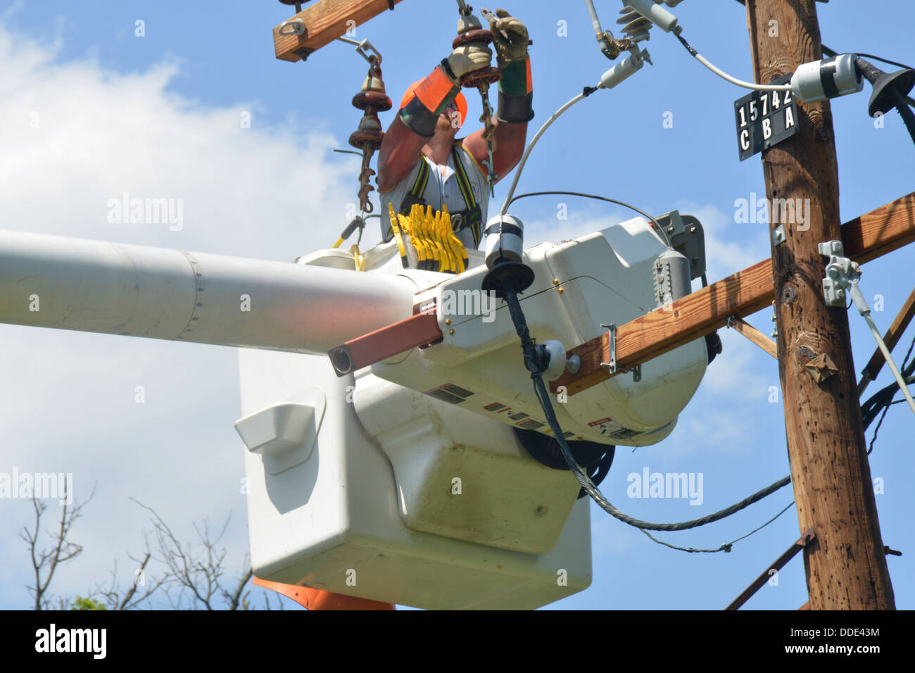 Utility workers working on a power pole Stock Photo Alamy