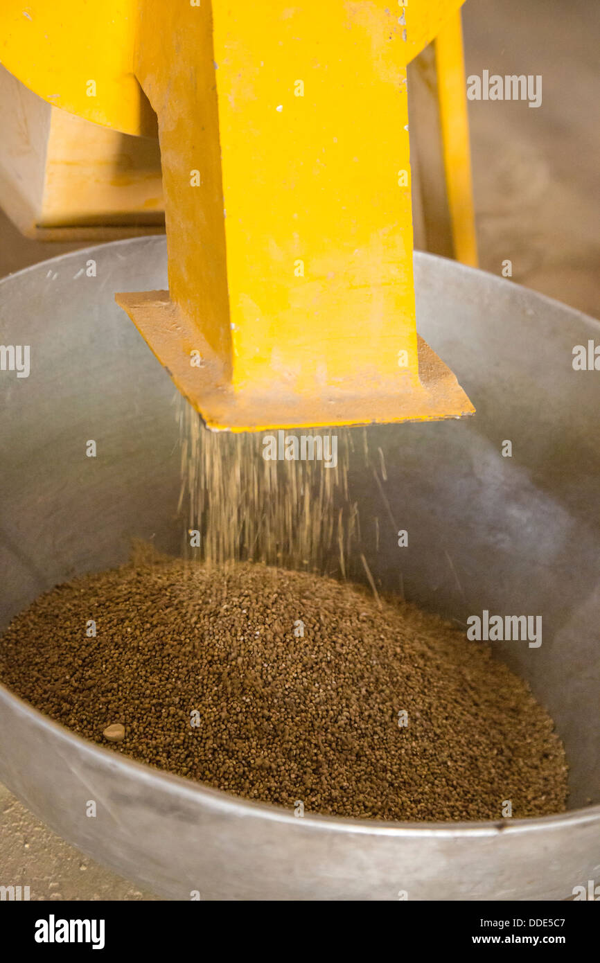 Collecting Maize Flour at Kaymor Village Maize Grinding Facility