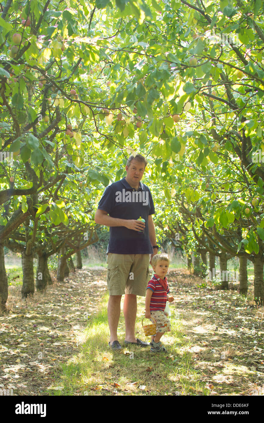Father and son in orchard Stock Photo