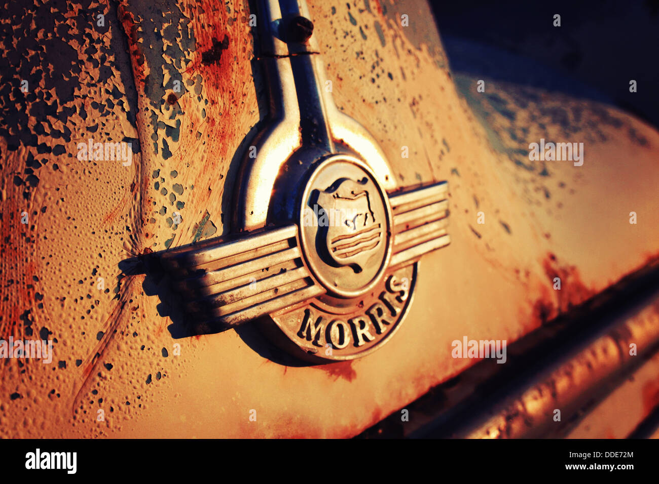close-up of Morris logo on rusty bonnet of car in the morning sunlight Stock Photo