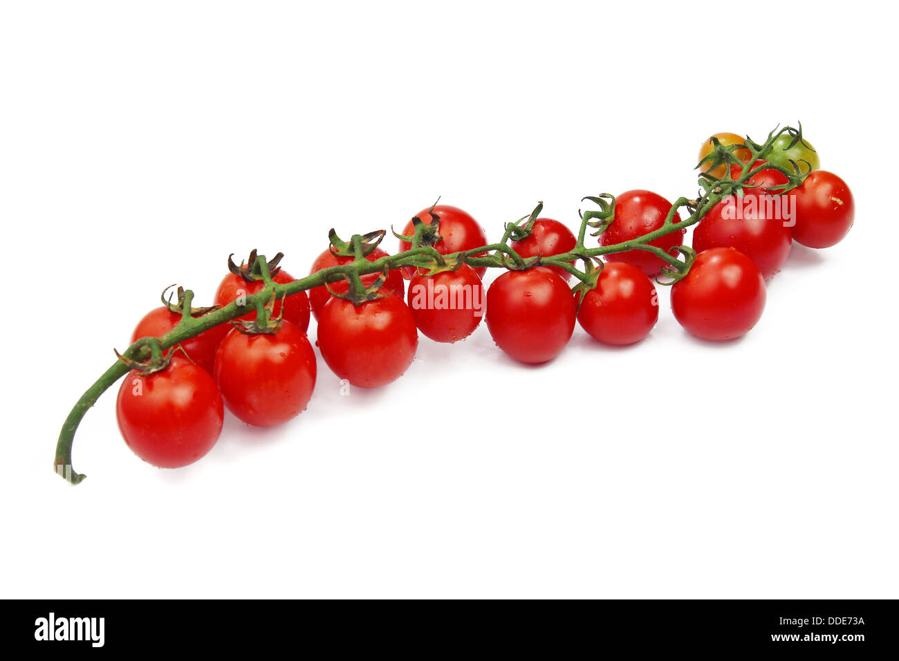 bunch of cherry tomatoes on white background Stock Photo - Alamy