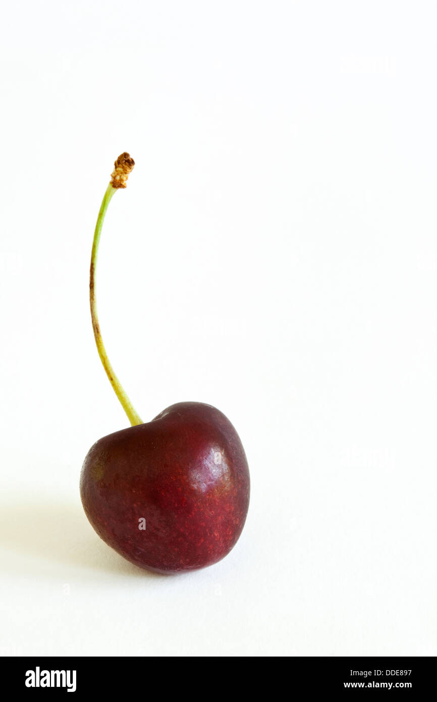 One cherry single Cut Out Stock Images & Pictures - Alamy