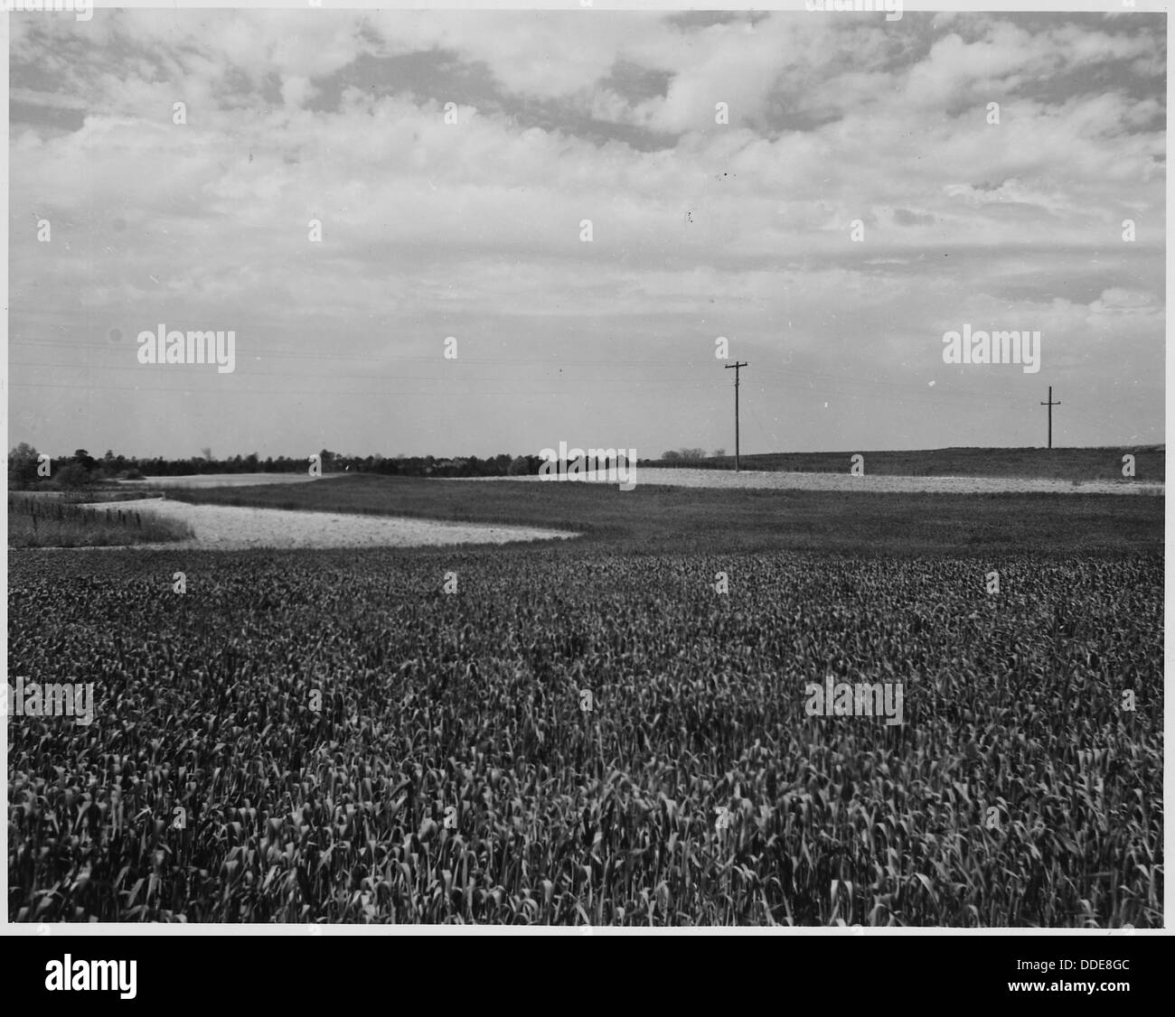 Strip method Black and White Stock Photos & Images - Alamy