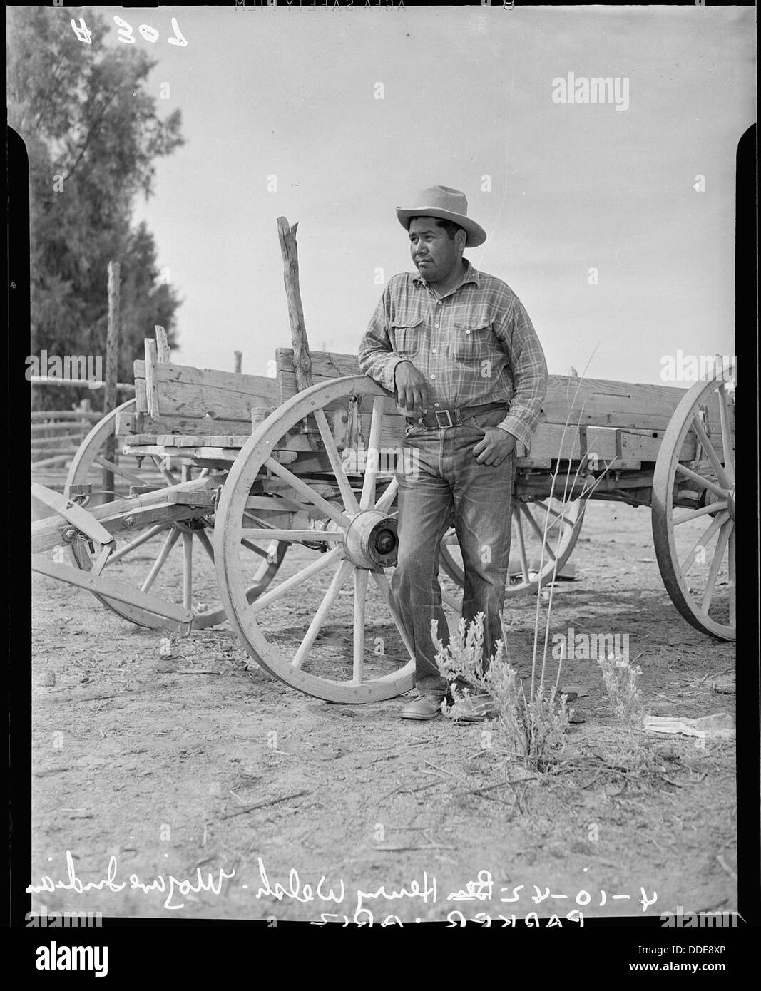 Parker, Arizona. Henry Welsh, Mojave Indian and chairman of the tribal council for the Colorado Riv . . . 536246 Stock Photo