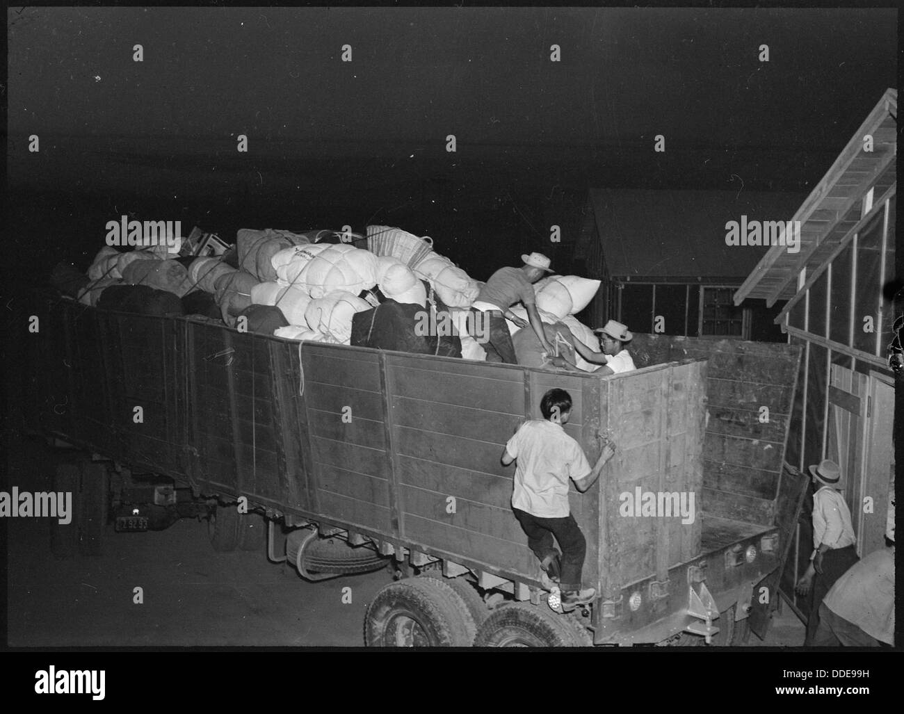 Poston, Arizona. A truck load of personal belongings is here being unloaded by Japanese Americans u . . . 536286 Stock Photo