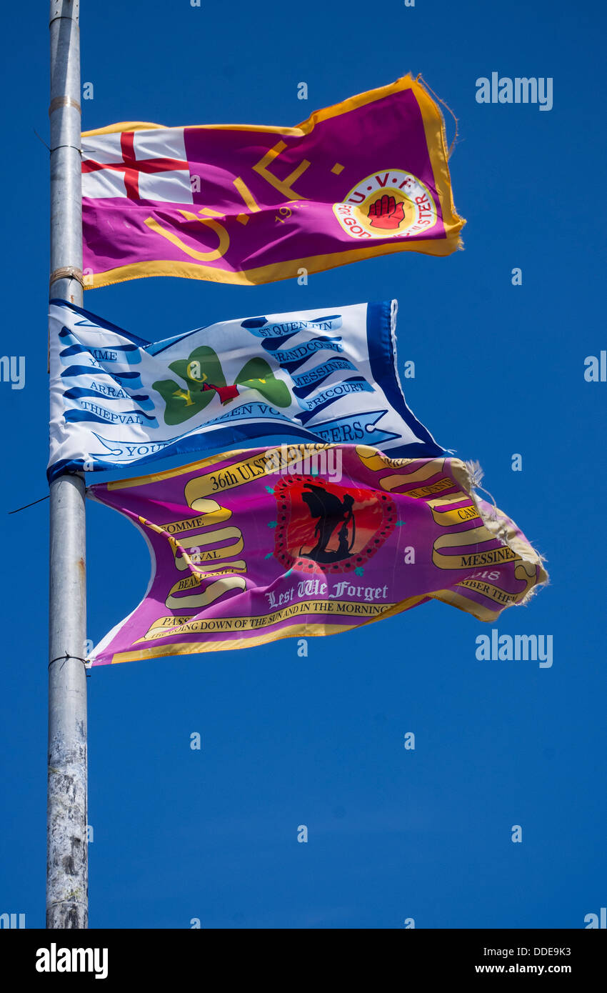Northern Ireland Flags Stock Photo Alamy
