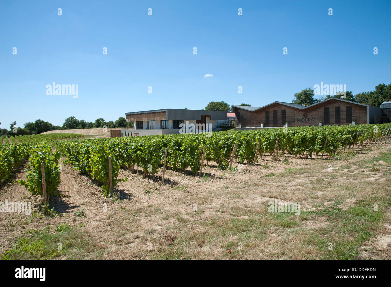 J Mourat winery and vines at Mareuil sur Lay in the Vendee region France Stock Photo