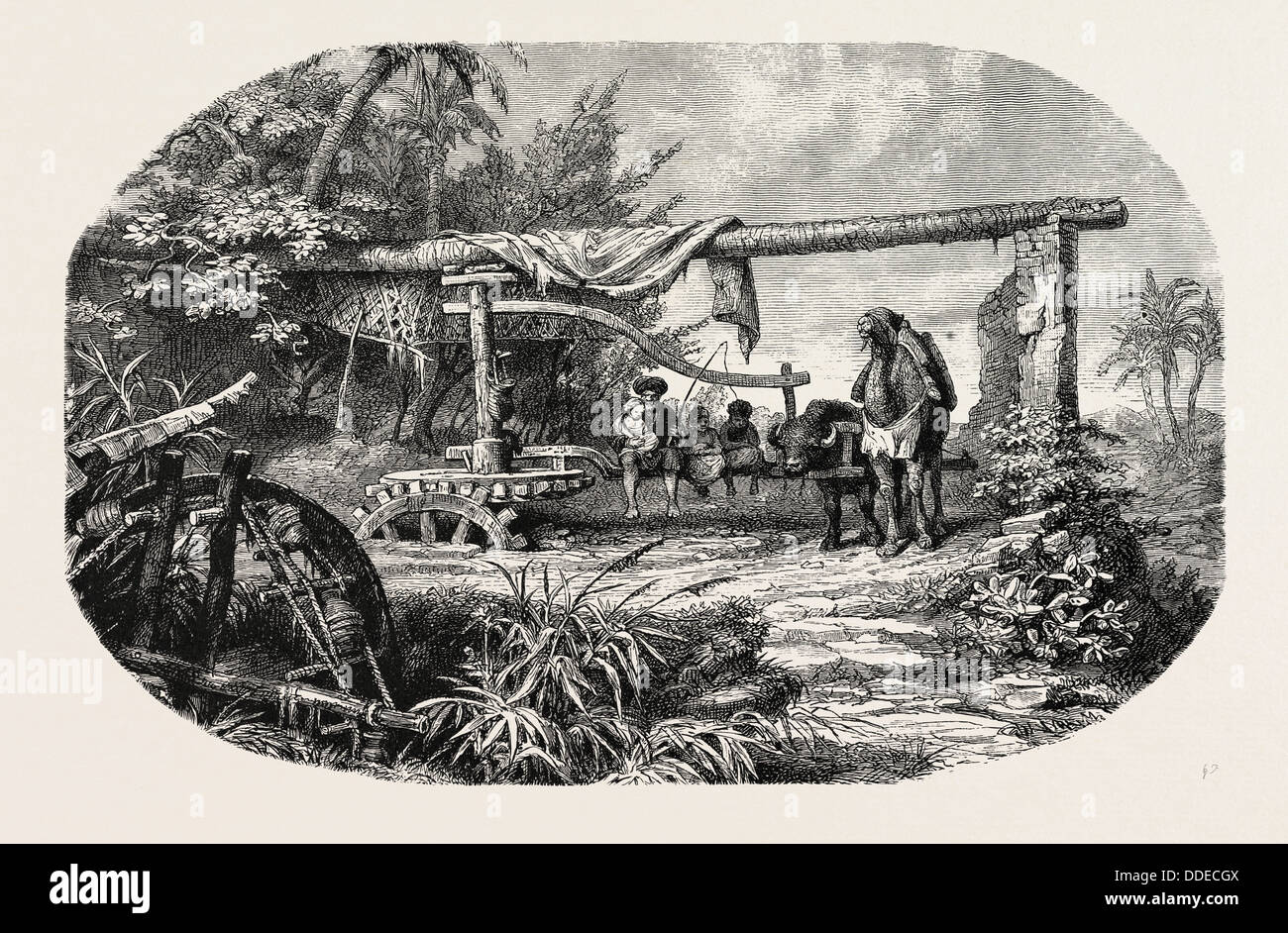 Ancient egypt water wheel hires stock photography and images Alamy