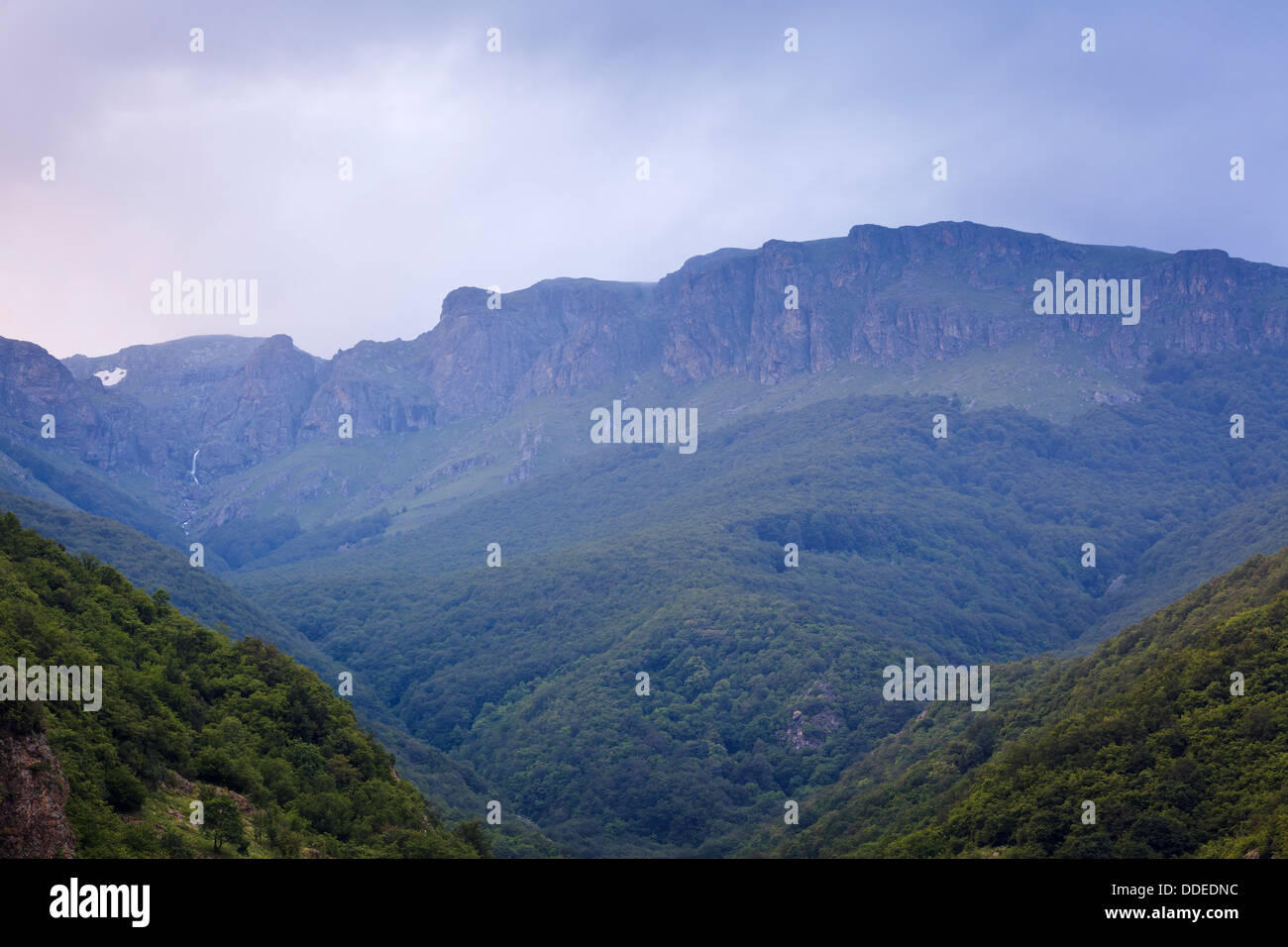 Valley with dense vegetation and mountains. Central Balkan National Park. Bulgaria. Stock Photo