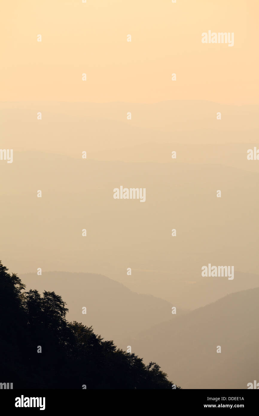 Evening light over forested slopes. Central Balkan National Park. Bulgaria. Stock Photo