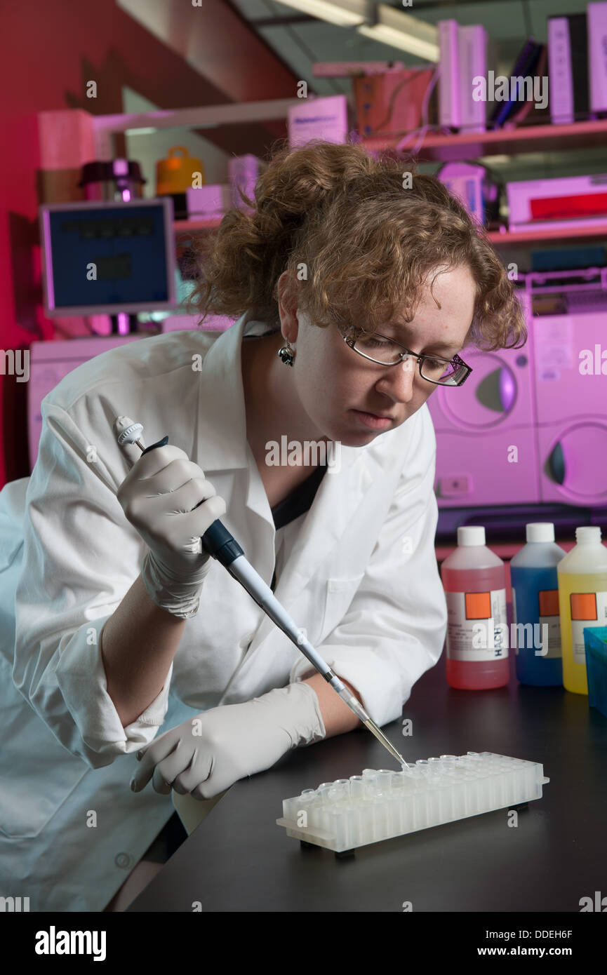 Scientist Running Test in lab at University of Arizona Stock Photo Alamy
