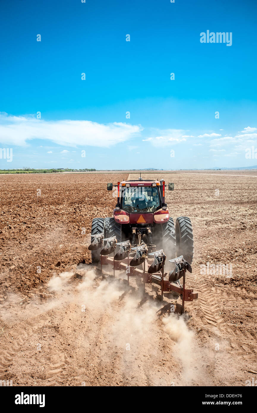 Tractor plowing in the field , Maricopa Arizona Stock Photo