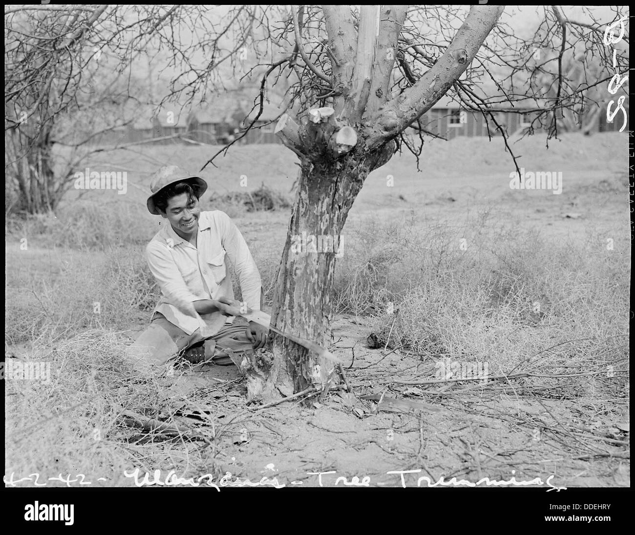 manzanar war relocation center california