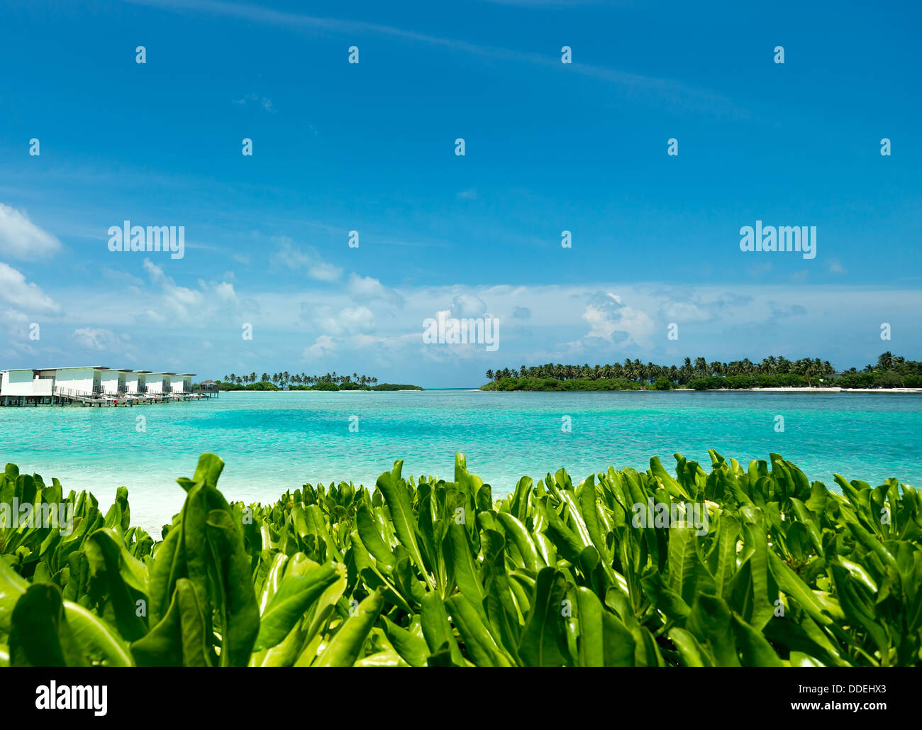 Tropical island in the ocean Stock Photo - Alamy