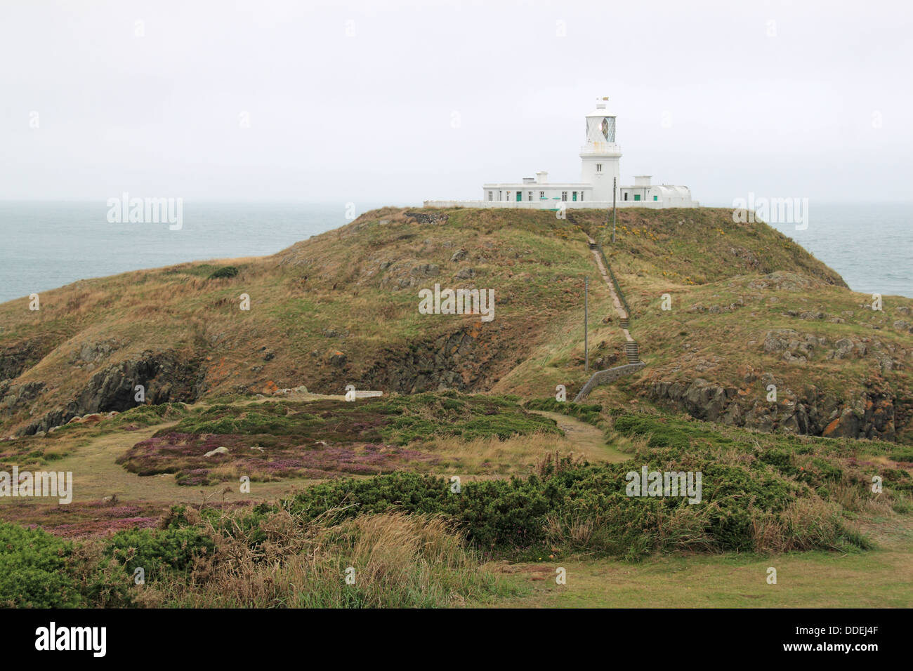 Strumble Head Lighthouse, Pen Caer, Pembrokeshire, Wales, Great Britain, United Kingdom, UK, Europe Stock Photo