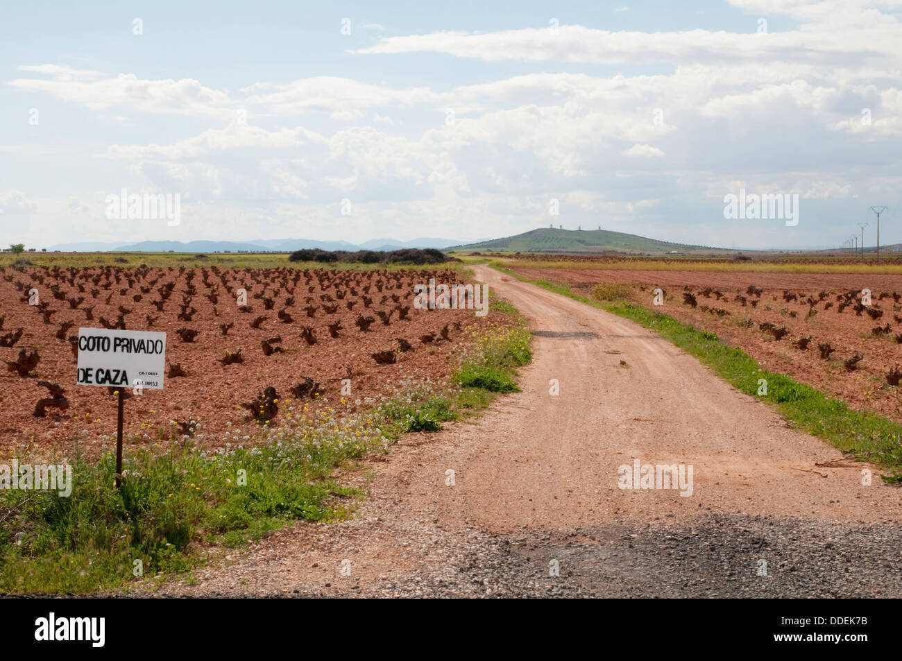 Way and vineyard. Campo de Criptana, Ciudad Real province, Castilla La Mancha, Spain. Stock Photo