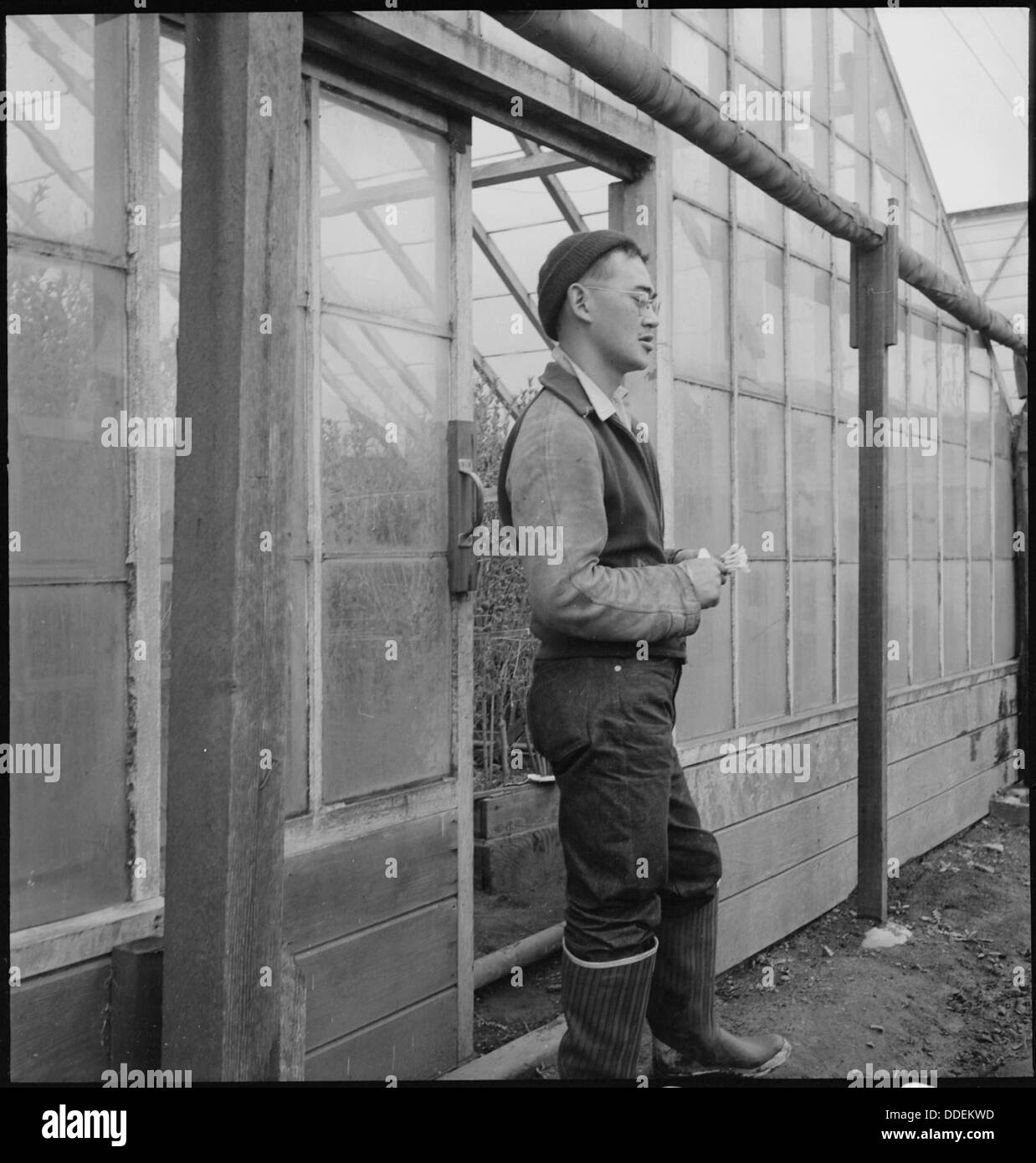 Mission San Jose, California. Ready to close the doors of greenhouse on