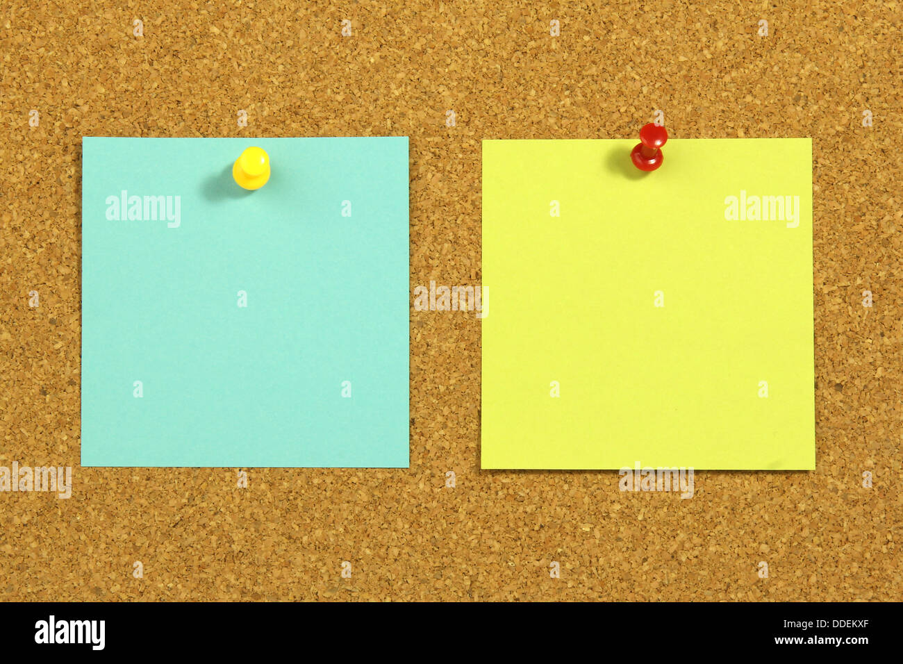 two blank note card on cork board Stock Photo Alamy
