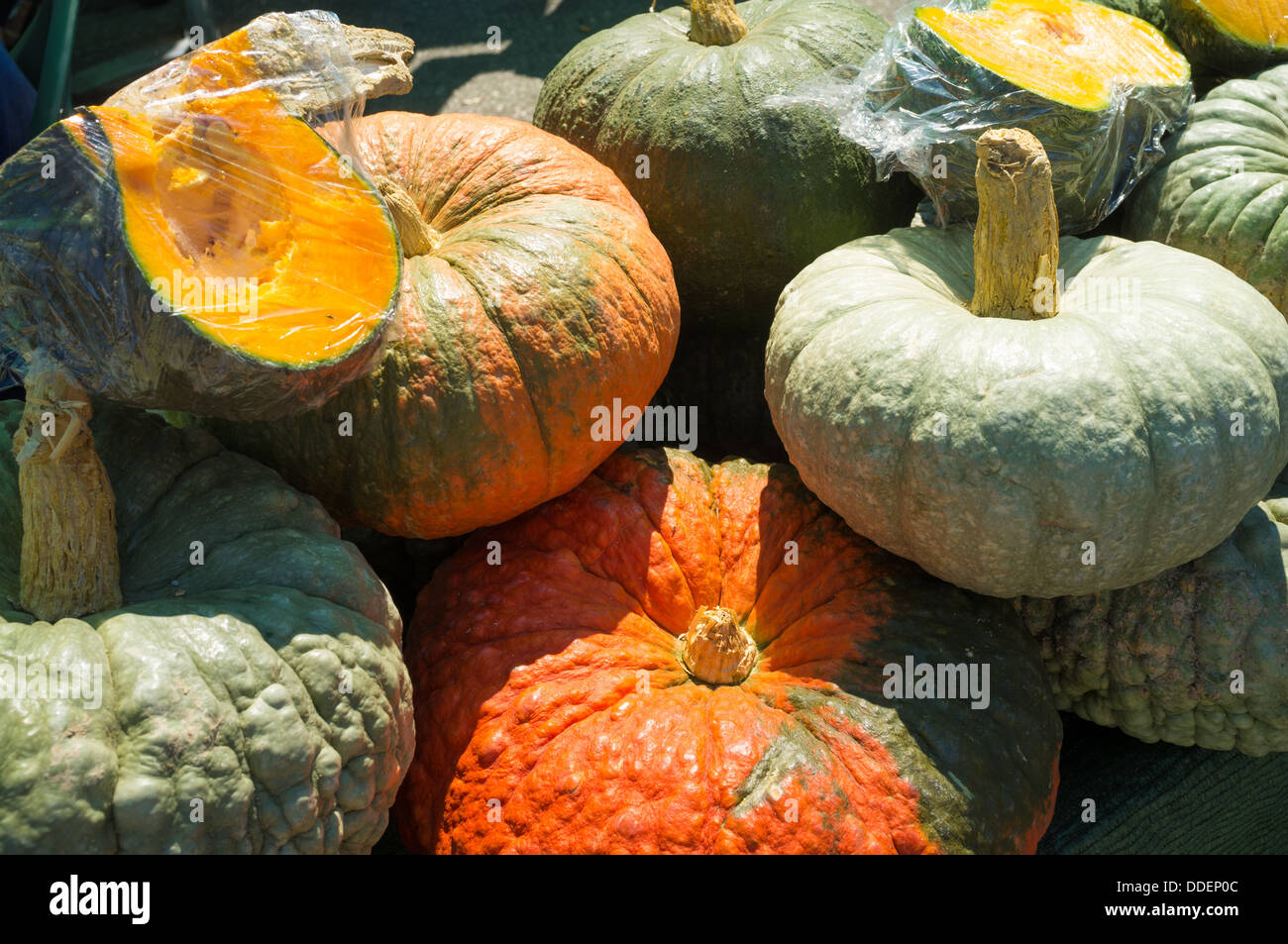Colorful assortment of pumpkins at a market stall Stock Photo - Alamy