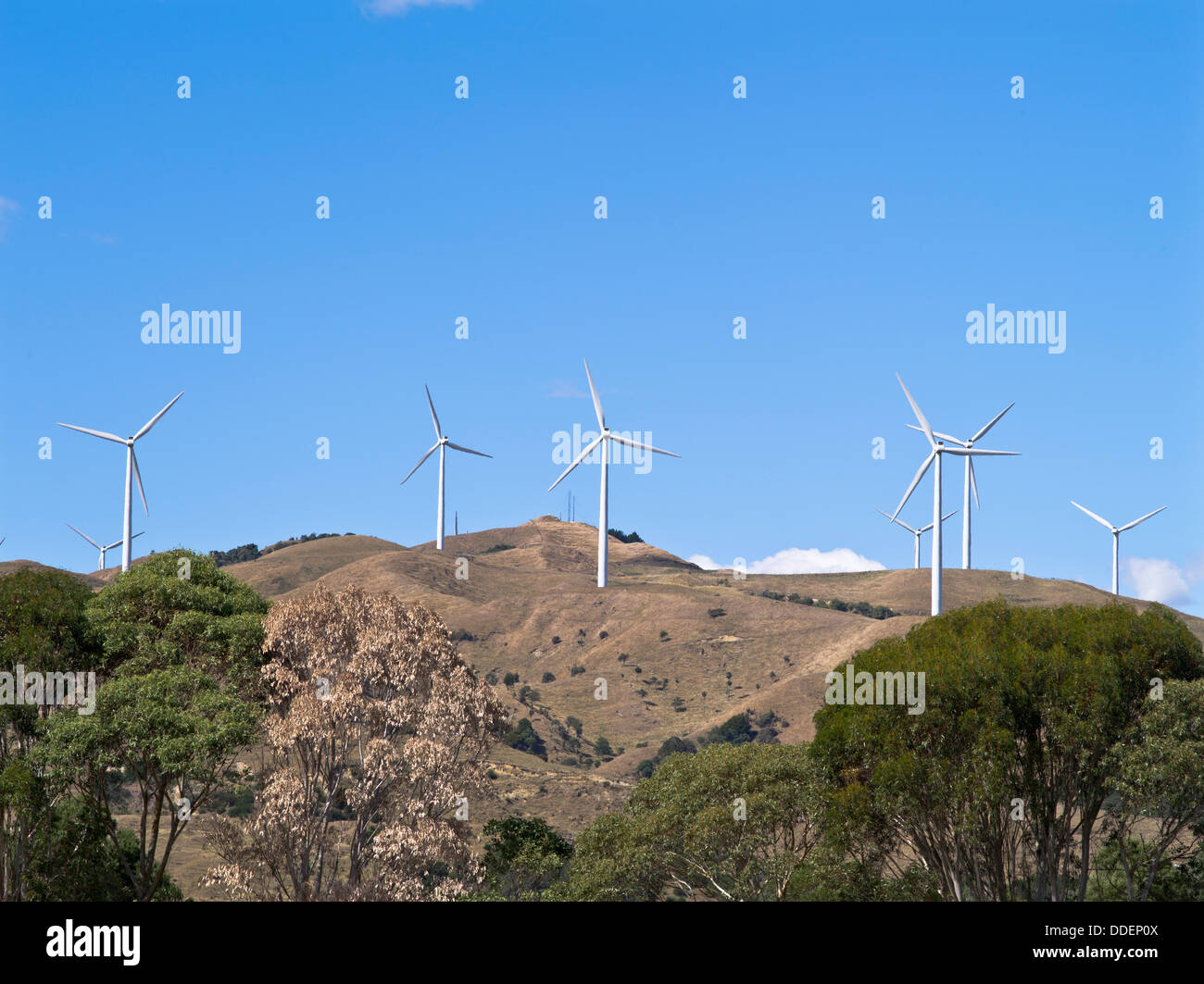 dh Windfarm WIND ENERGY Te Apiti windfarm near Manawatu gorge Ashhurst New Zealand Stock Photo