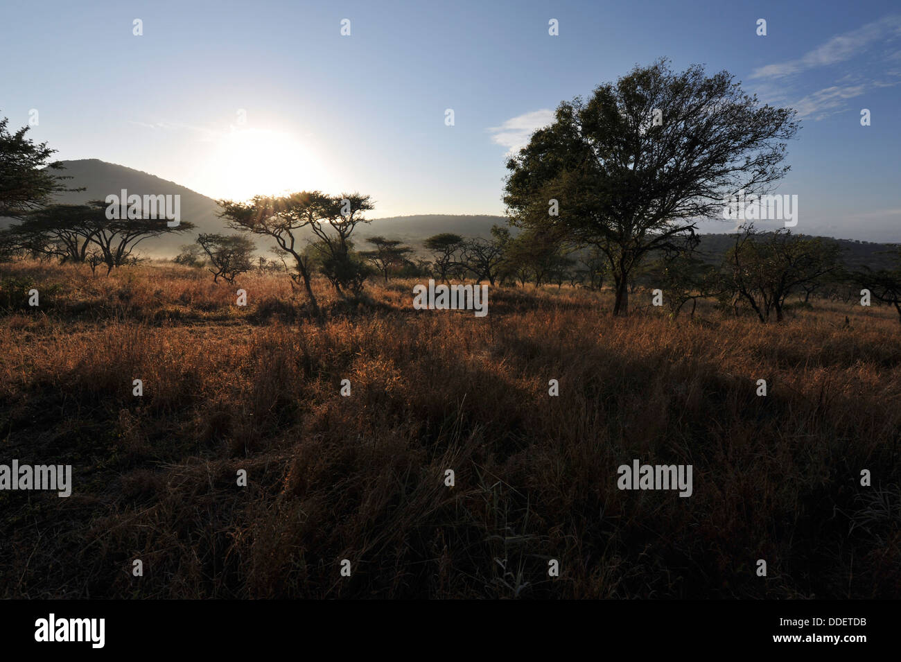 Kwazulu natal landscape hi-res stock photography and images - Alamy