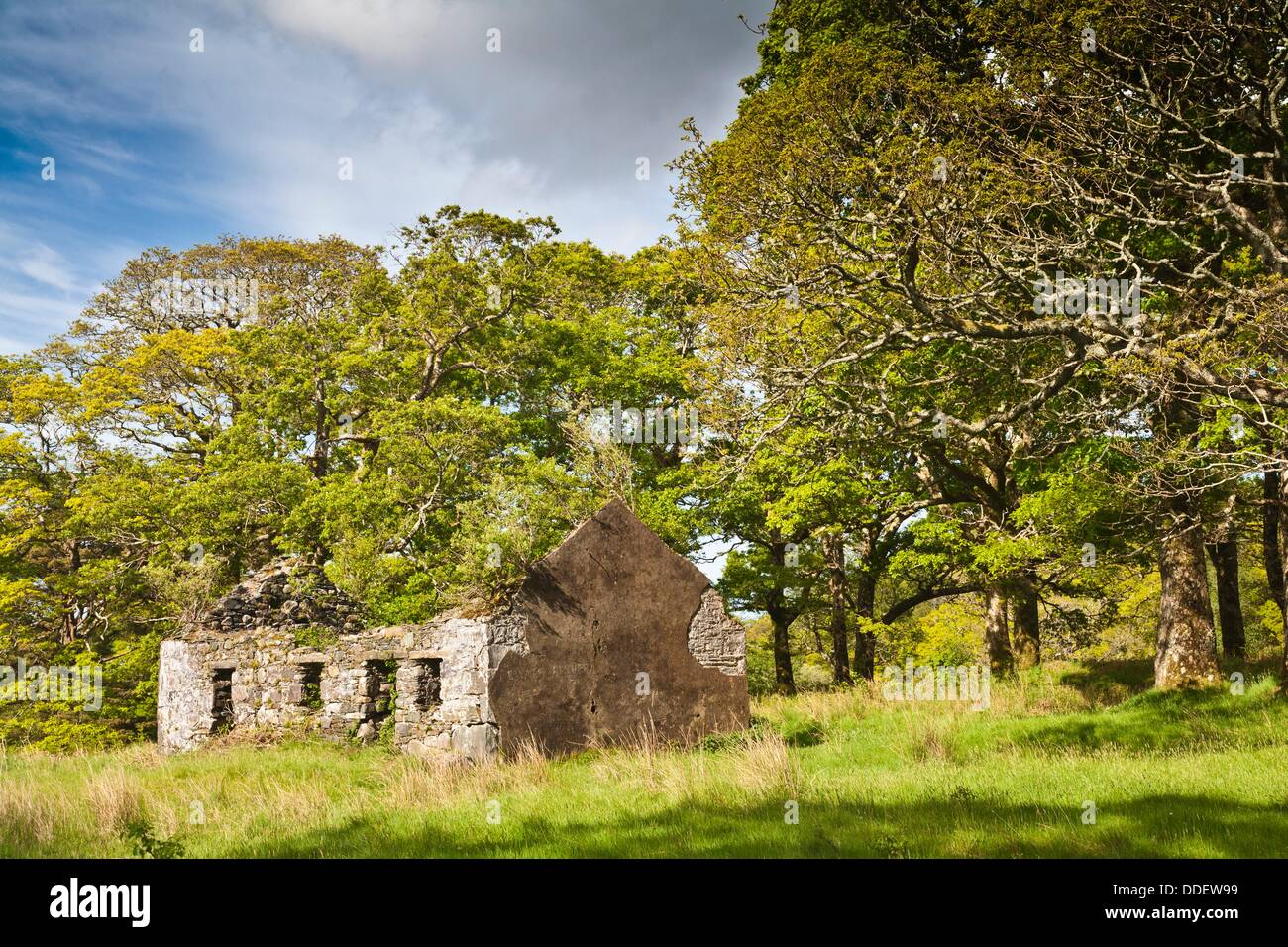 Decayed famine house in Connemara, County Mayo, Ireland, Europe Stock Photo