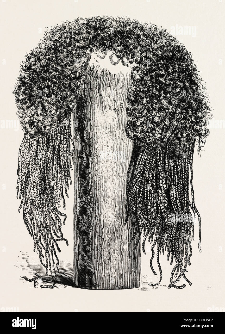 OLD EGYPTIAN LADY'S WIG, IN THE BRITISH MUSEUM.  Egypt, engraving 1879 Stock Photo