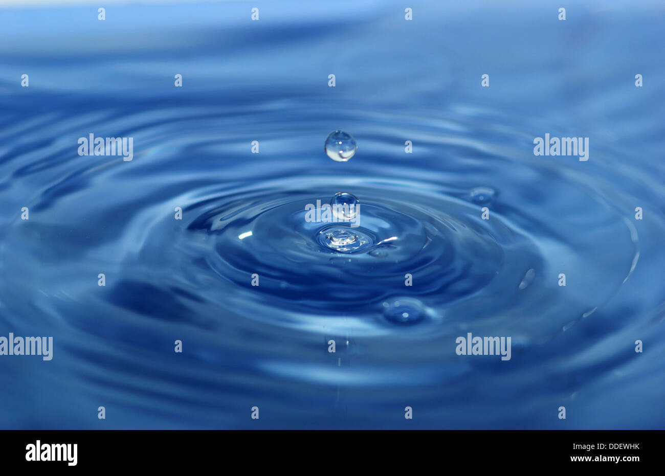 drop of water Stock Photo Alamy