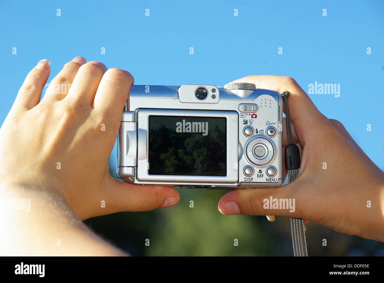 camera in  hands Stock Photo