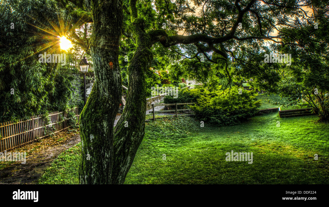 HDr image of a garden Stock Photo